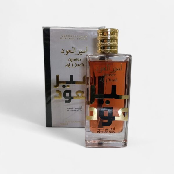 Perfume árabe 100ml oferta
MQ5483